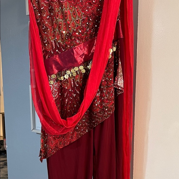 Algy Women’s Red Velvet Sequin Dance Costume Cosplay Size Adult Large Dancewear - Picture 3 of 12